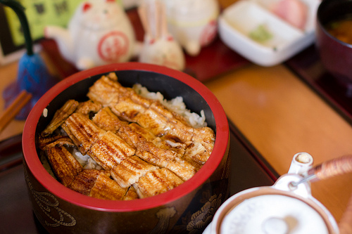 バンコク　日本食レストラン　初の減少