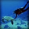 タイ　ダイビング　まとめ